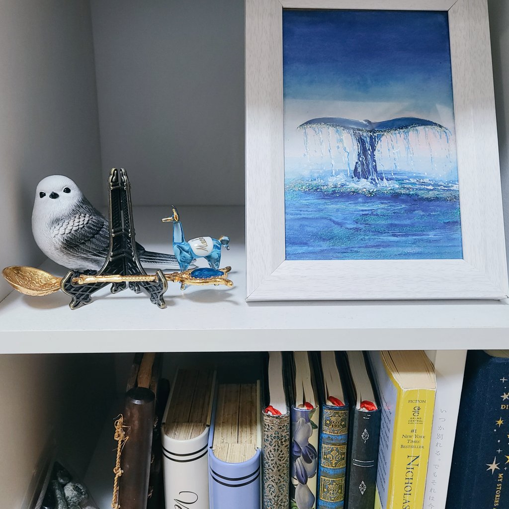 Raamiy_artworks's tweet photo. 我が家のお気に入りゾーン💙 https://t.co/FzGhHceCkX