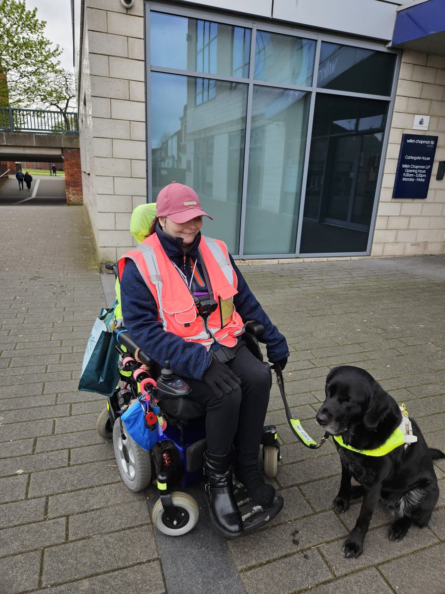 WorkyWoof's tweet photo. Our morning shopping trip woofy woof woof 🦮👩🏻‍🦼🐾🐾👍😀 
Photos show gd maeve black Labrador retriever cross and julie GDO sitting in her mobility chair we are outside in a local street on the pavement beside a large office building https://t.co/WIQ5Dx4KVx