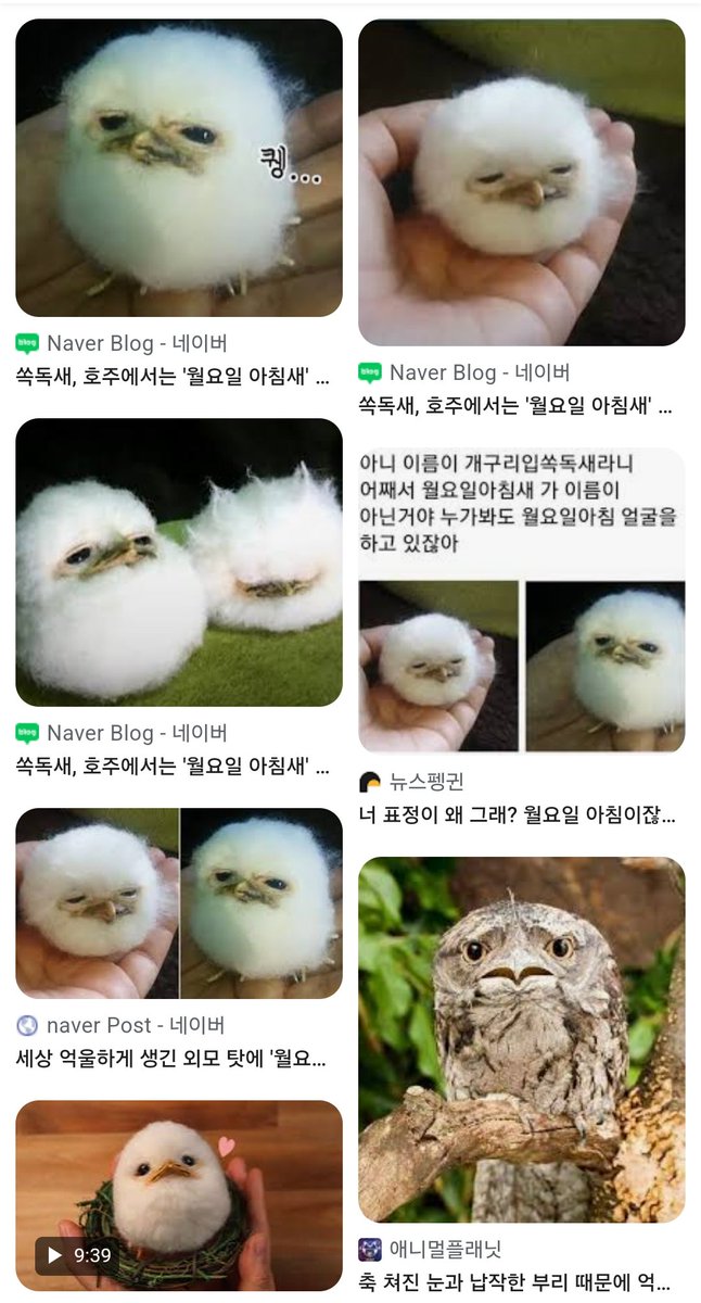 socks831's tweet photo. 아무리봐도 이윤그잡채 ㅠㅠ;; https://t.co/RIE9H8H1F6