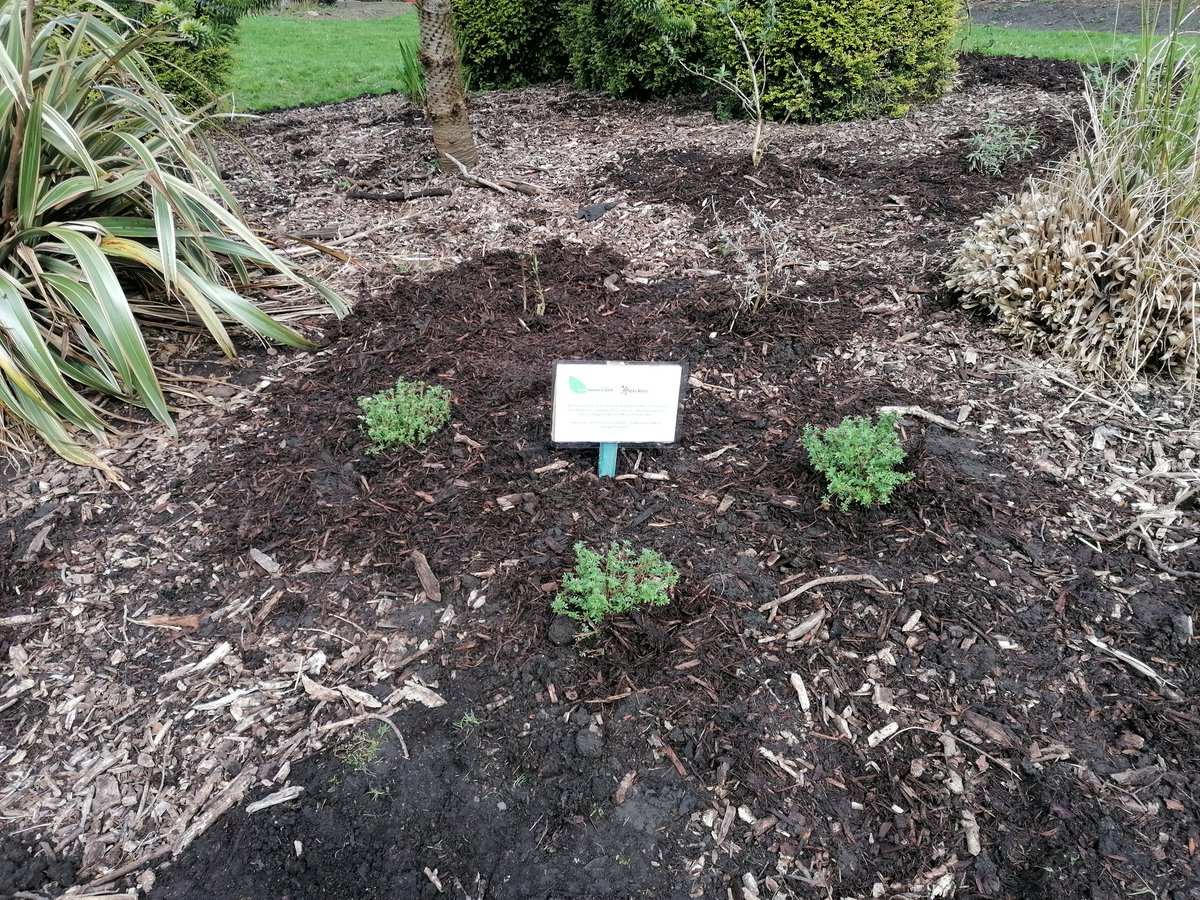 Anthony Carr (@apcarr33) on Twitter photo Brilliant morning up at Bold Venture Park planting butterfly friendly shrubs to help attract more wildlife into the park. Join us every 2nd Saturday of the month - next date: Sat 11th May @ 10am. Thanks to <a href="/GelclearLtd/">Gel-clear Ltd</a> for making this possible. #GetInvolved #ActiveOutdoors <a href="/BwDPH/">BwD Public Health</a> Brilliant morning up at Bold Venture Park planting butterfly friendly shrubs to help attract more wildlife into the park. Join us every 2nd Saturday of the month - next date: Sat 11th May @ 10am. Thanks to <a href="/GelclearLtd/">Gel-clear Ltd</a> for making this possible. #GetInvolved #ActiveOutdoors <a href="/BwDPH/">BwD Public Health</a>