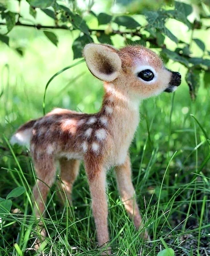 Beautiful baby 🦌🌿🦌🌿💚V🤍R💚I🤍B💚J🦌🌿🦌🌿🦌🌿🦌🌿🦌🌿🦌🦌🌿🦌🌿🦌🌿🦌🌿🦌🌿🦌🌿🦌🌿