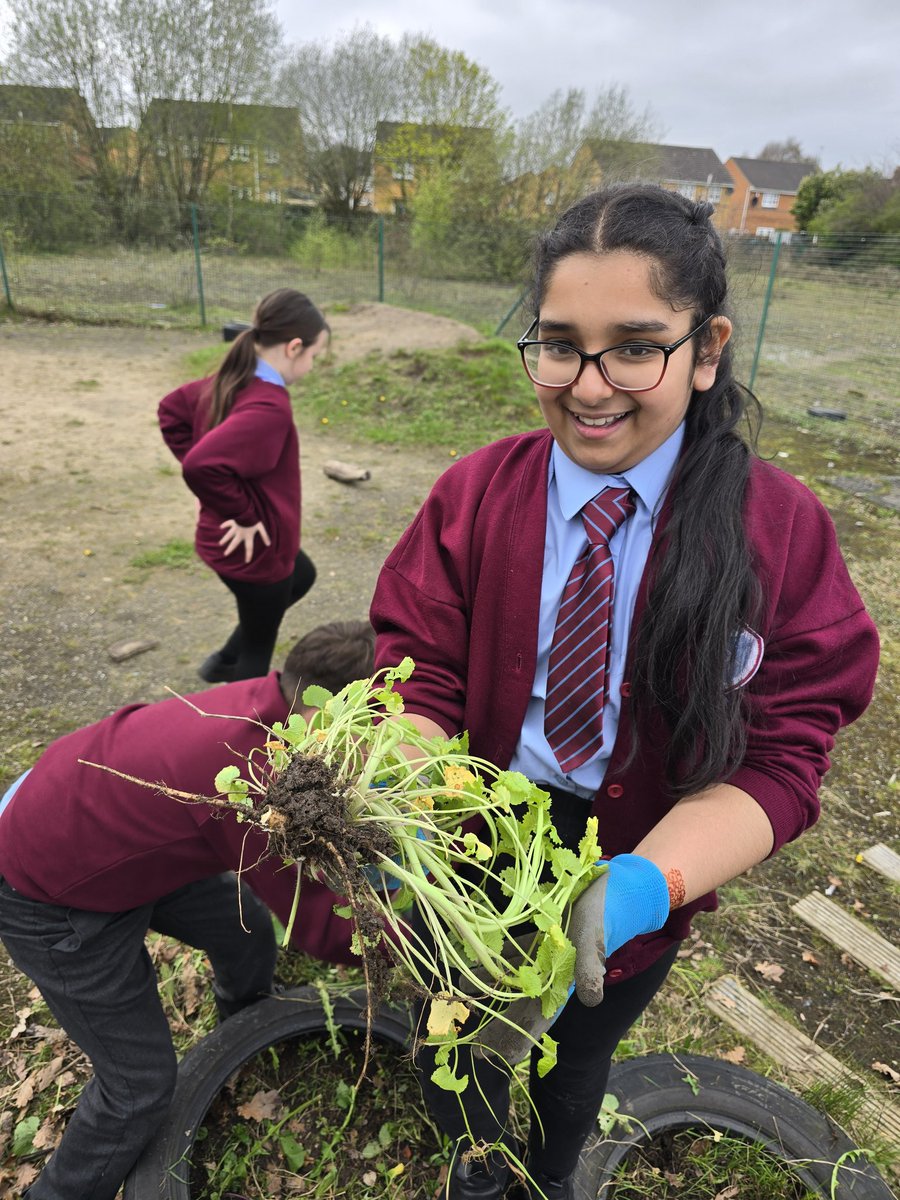 Loose parts play in #ActiveEnrichment yesterday was a hit. Some children even tidied the area up by weeding it, ready to plant new things #PhysicalActivity #active #fun @church_prim @NiallO7Brien on the look out for new equipment 👀