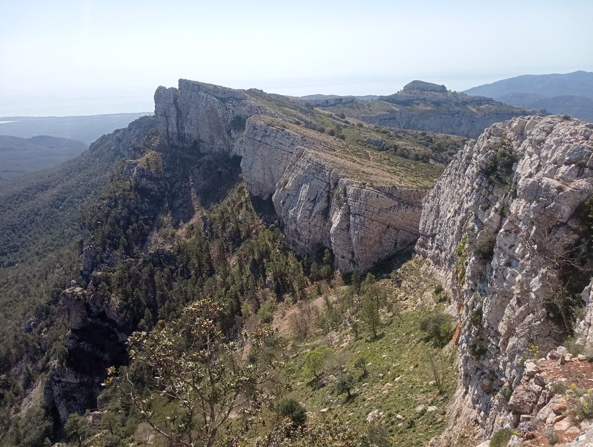 JRovireta's tweet photo. Aquest matí per la serra de #Llaberia amb força calor. #Pratdip #Colldejou #Tivissa #TerresdelMestral #senderisme #paisatge #racons @caminsnatura @meteocat @TerresdeMestral @MuntanyesCD @eltempsTV3 https://t.co/BvhNItCotJ