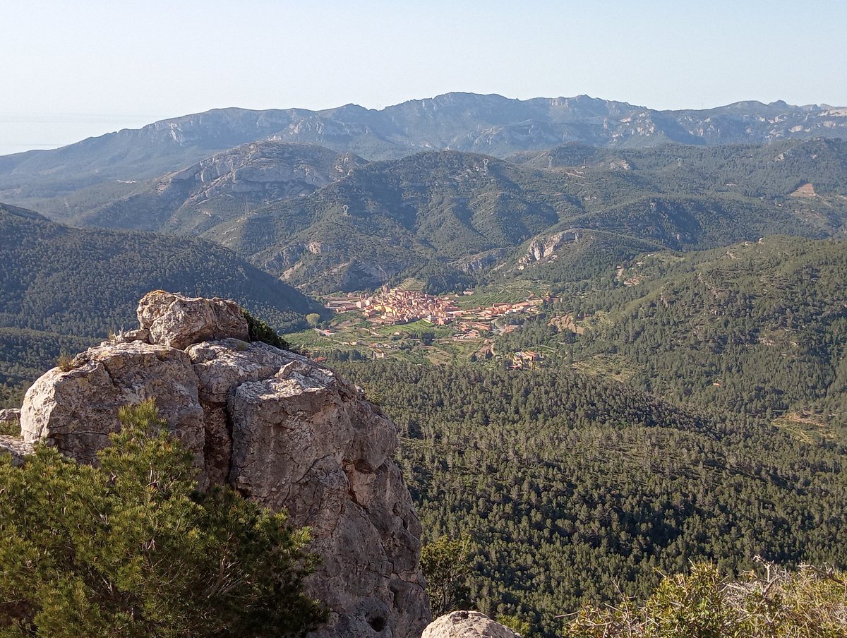 JRovireta's tweet photo. Aquest matí per la serra de #Llaberia amb força calor. #Pratdip #Colldejou #Tivissa #TerresdelMestral #senderisme #paisatge #racons @caminsnatura @meteocat @TerresdeMestral @MuntanyesCD @eltempsTV3 https://t.co/BvhNItCotJ