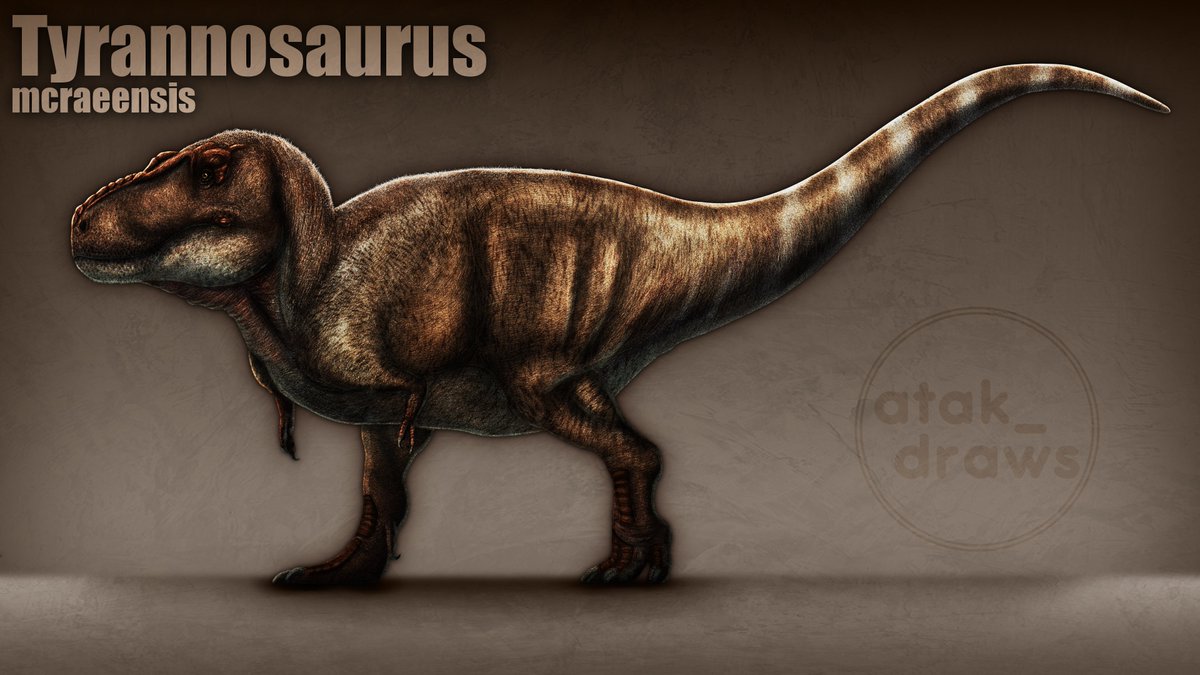 Tyrannosaurus mcraeensis

#paleoart #art #ArtistOnTwitter
