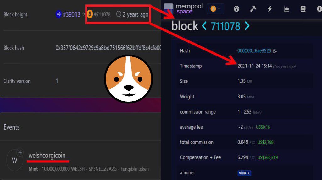 Link83772411's tweet photo. Everyone gets excited about owning their favourite blockchain CEO’s pet.
Well I own Satoshi Nakamoto’s pet dog bro! Can you top that!?
@Welsh_Community $WELSH #FirstmemeonBitcoin #FirstdogonBitcoin
There are more of us than there are of you! 😉
Generational $WELSH https://t.co/Ilkhlbu3kj