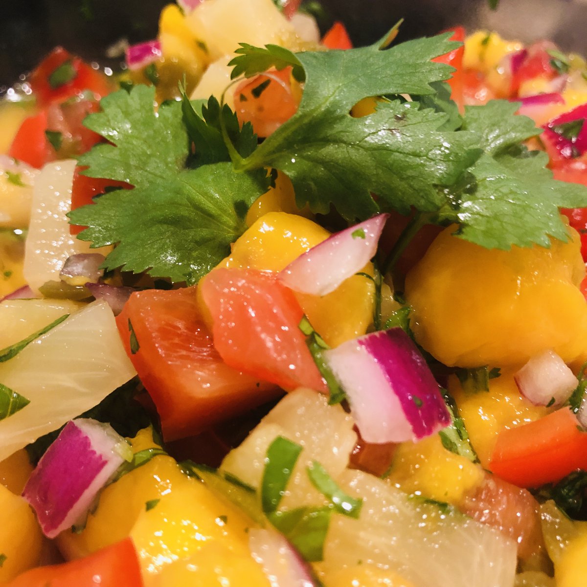 SherylLozicki's tweet photo. This weeks Trail mix includes: "Inflammaging", PFAS, the best time to exercise, a social isolation quiz (faster aging) and fruity guacamole.https://t.co/AFn0ffOCTX #PFAS #diet #exercise #guacamole #mentalhealth https://t.co/vXgSE7BRqY
