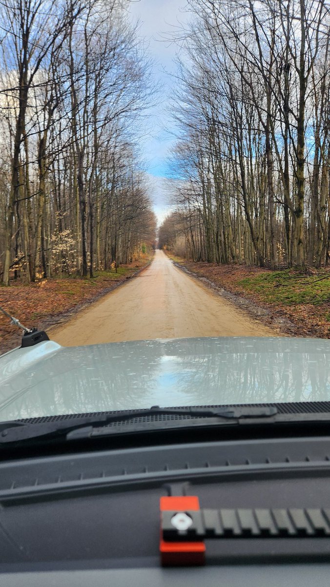 bronco_pa65's tweet photo. Coming soon to a PA Forest near you.... leaves! 

#Pennsylvania #overland https://t.co/KUJeoJXoow