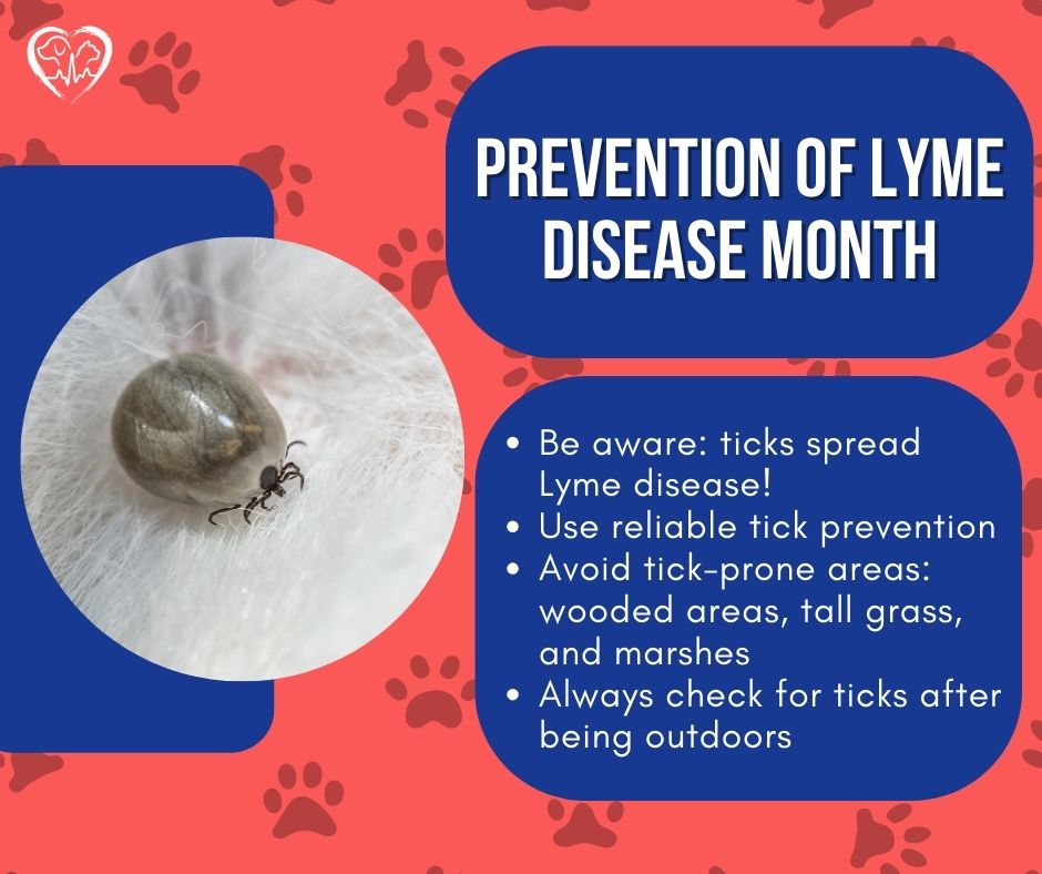 Want to learn more about tick prevention? Click the link below ⤵️ bit.ly/3To142H