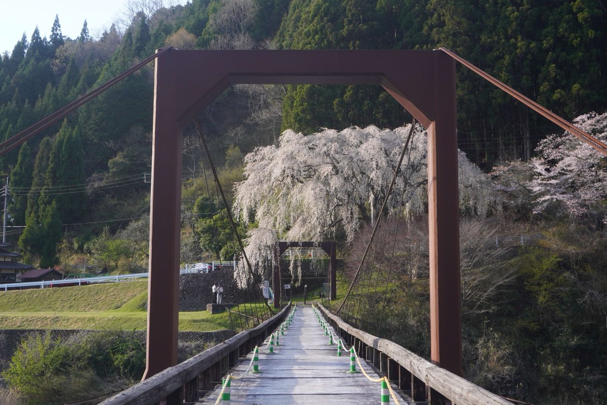 mt_pompon_ppy's tweet photo. 4/13 そのほか
長岡京市 光明寺
京都市西京区 大原野神社
南丹市八木町神吉
京都市右京区京北 魚ヶ渕

ひと月前からロードバイク始めました
京都市近郊をウロウロすることがまた増えています
いずれは輪行で遠くにも行ってみたい https://t.co/Ve7urrKc4D