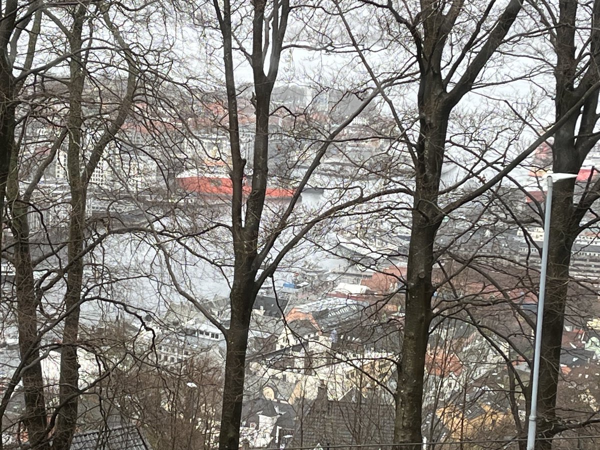 Kjersti Fløttum tweet media