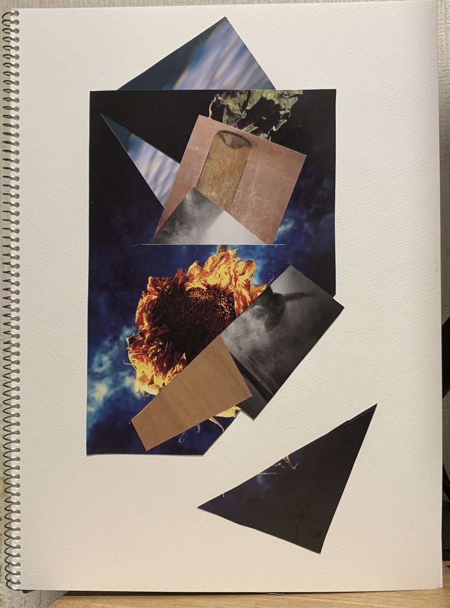 lofi_ranch's tweet photo. #collageart https://t.co/t0HkIgxseu