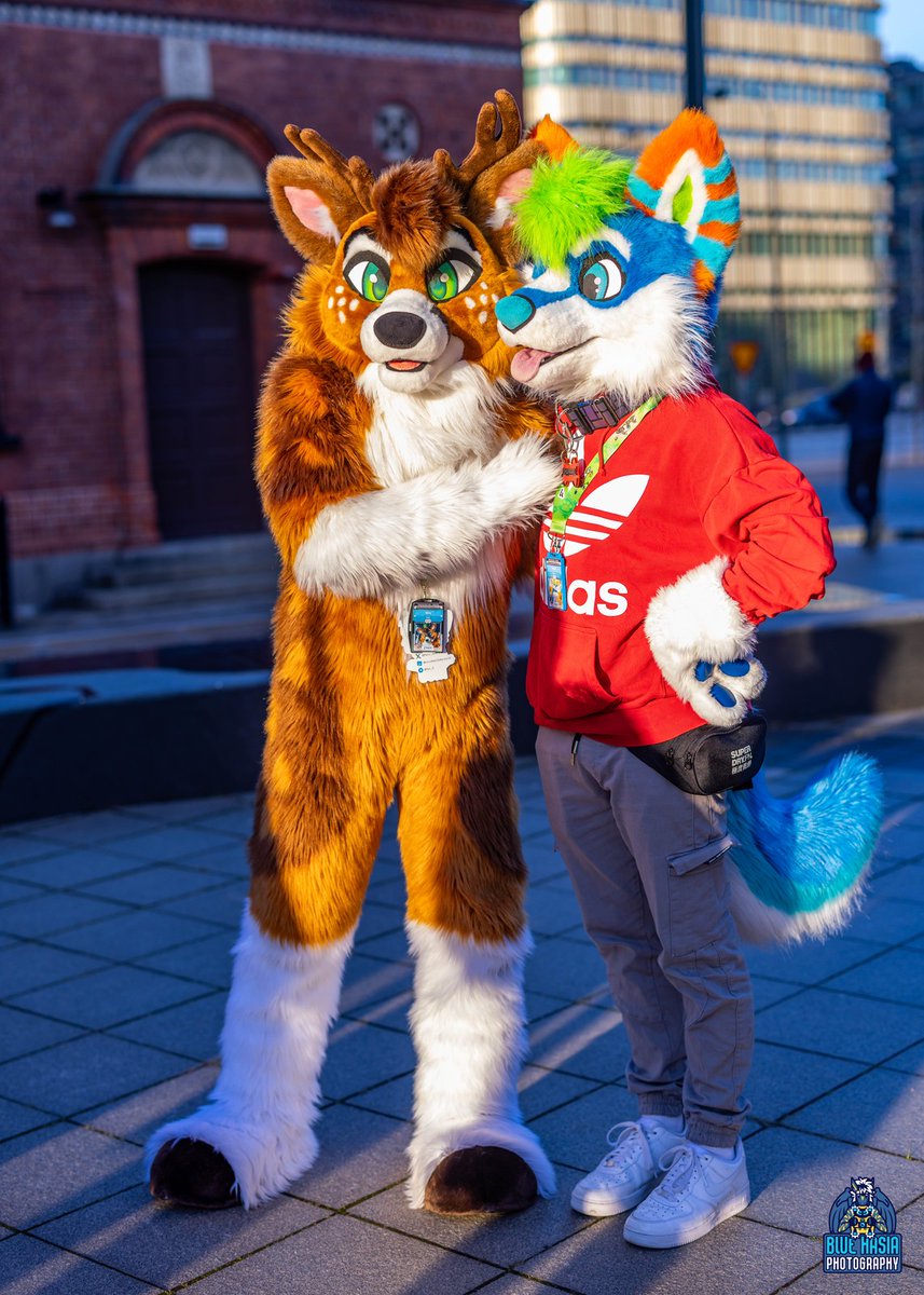 Look at this dog here. It's a very good dog!

🐕‍🦺: @TruffelWusky

📸:@Bluehasia

#Furry #Fursuit