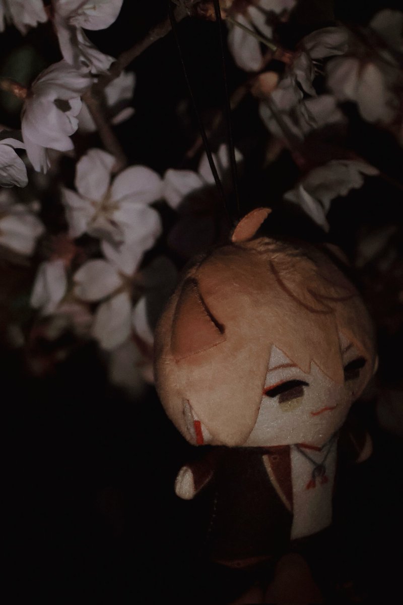 Glink333's tweet photo. #ぱぺぬい春のお出かけ https://t.co/OqQ1lB9Orl