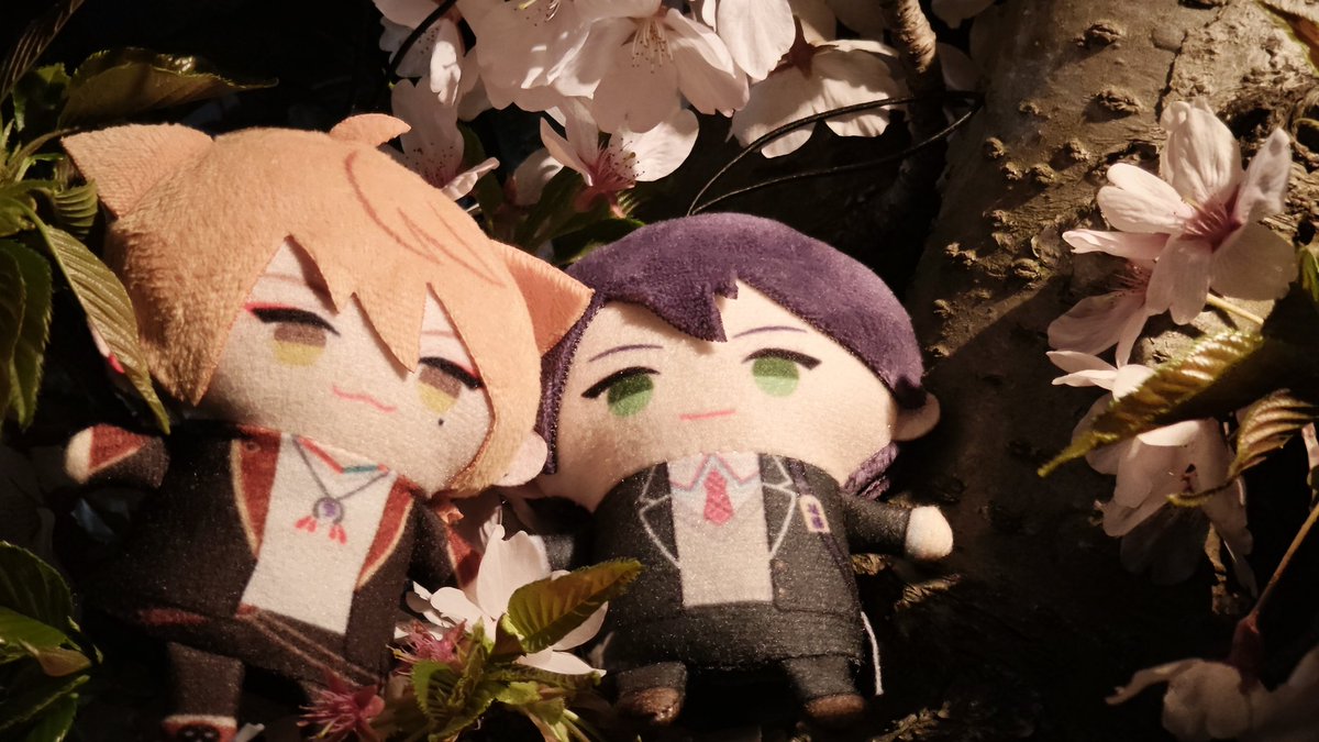 Glink333's tweet photo. #ぱぺぬい春のお出かけ https://t.co/OqQ1lB9Orl