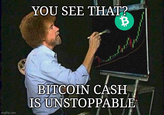 Limited supply, 1000 × more usable than BTC. #BCHMEMES #BitcoinCash