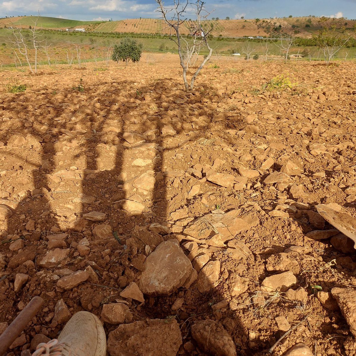 Ammına koyum ben böyle hatın millet bayram ederken ben tarlada çalışıyorum hayatmı lan bu öleyimde kurtulayım