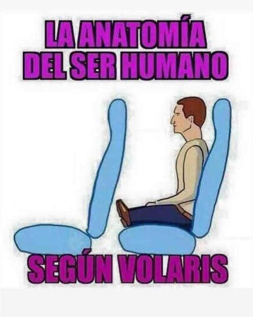 Alejandro Gonzalez tweet media