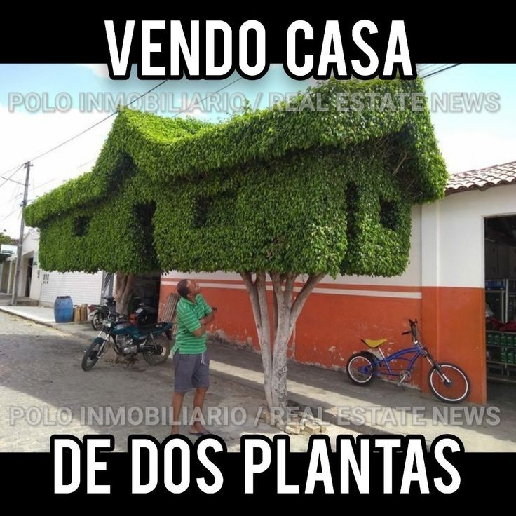 Kary Flores (@karyflorescc) on Twitter photo 