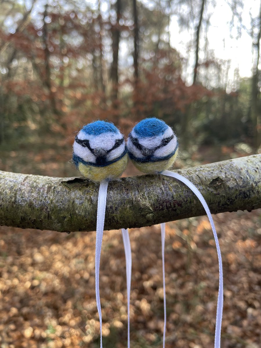 Hello! These Blue tit bookmarks are available from my Etsy shop! They’d be chuffed to perch at the top of your favourite book! A beautiful and unique gift for an avid book reader who adores birds ❤️ therockingfelter.etsy.com/uk/listing/165… #etsy #BirdsOfTwitter #birdwatching #BookTwitter