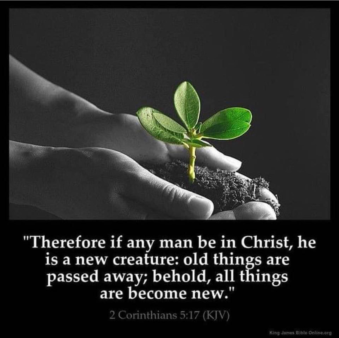 17 Therefore if any man be in Christ, he is a new creature: old things are passed away; behold, all things are become new. 2 Corinthians 5:17 Have a blessed day everyone. ❤️🙏🏼