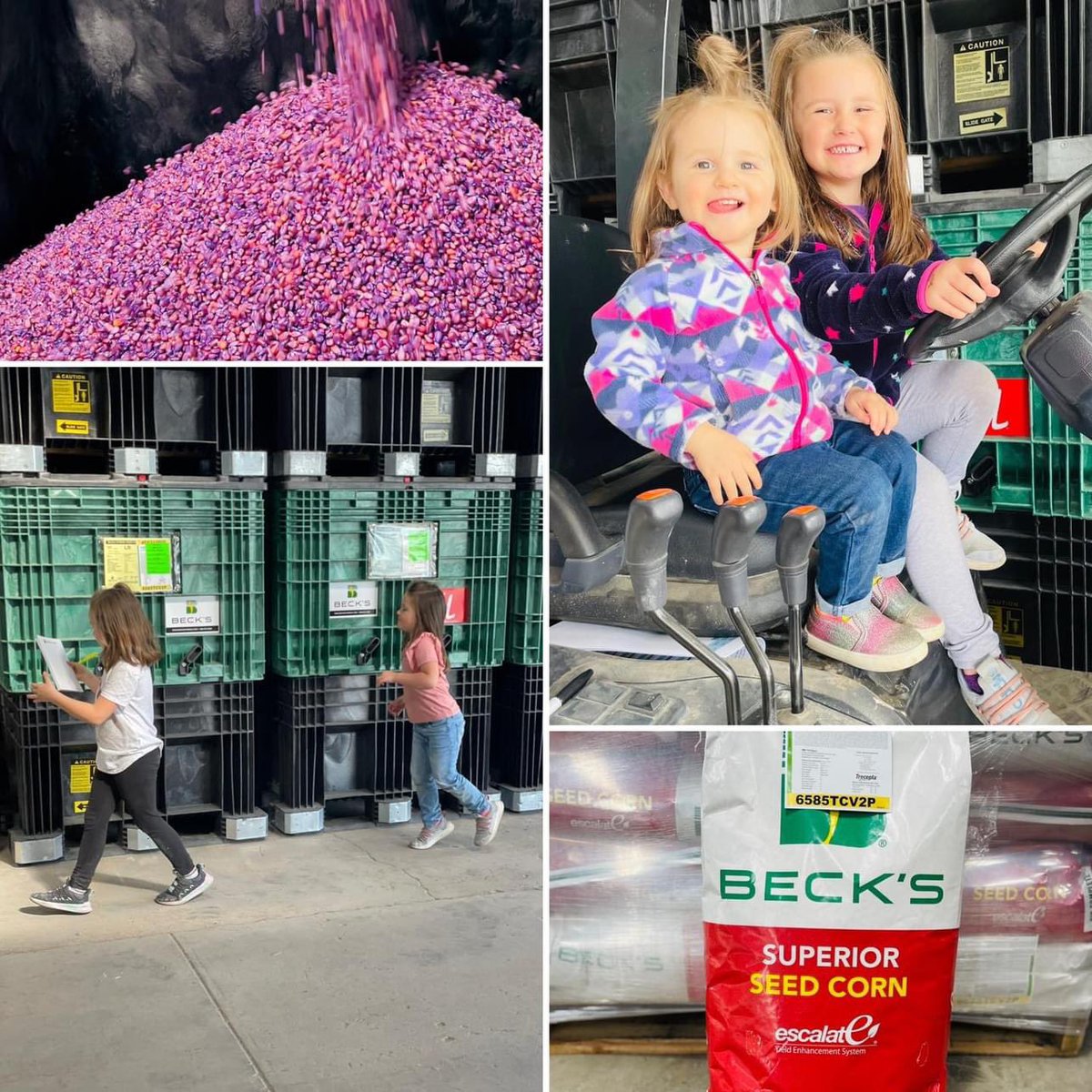 Thrive Ag Services LLC tweet media