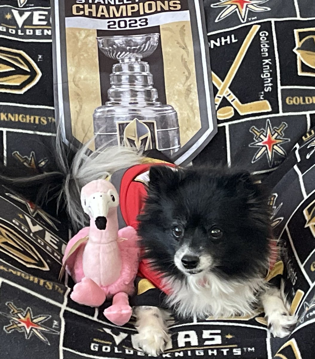 VGKPandaPup's tweet photo. 16 wins to glory!!!
🏆🥇
🔳🔳🔳🔳
🔳🔳🔳🔳
🔳🔳🔳🔳
🔳🔳🔳🔳
@VGKFlamingo
#ItHurtsToWin
#VegasBorn
#UKnightTheRealm
#TheGoldenAge
#StanleyCupPlayoffs
❤️🐼🐶 https://t.co/LqodXfatRO