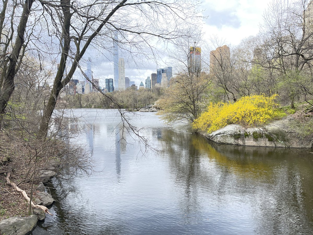 intheolivegrov1's tweet photo. #NYC first time since the pandemic. #Top4Lakes #Top4Theme. Central Park Lake. https://t.co/XeH0WdlWdG