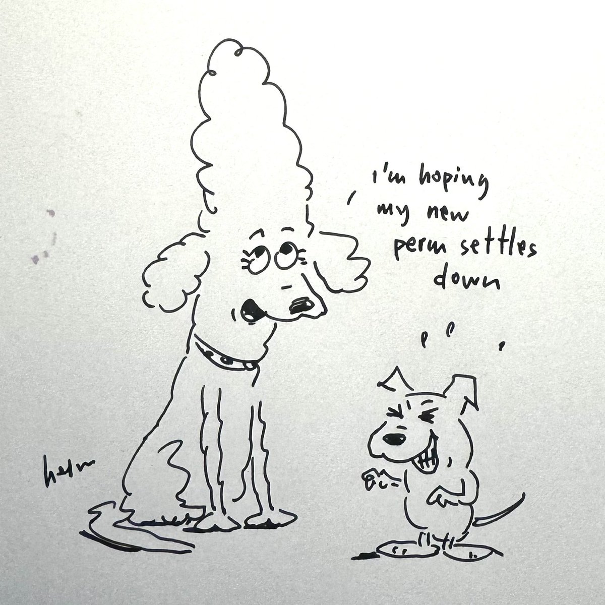 Poodle issues.