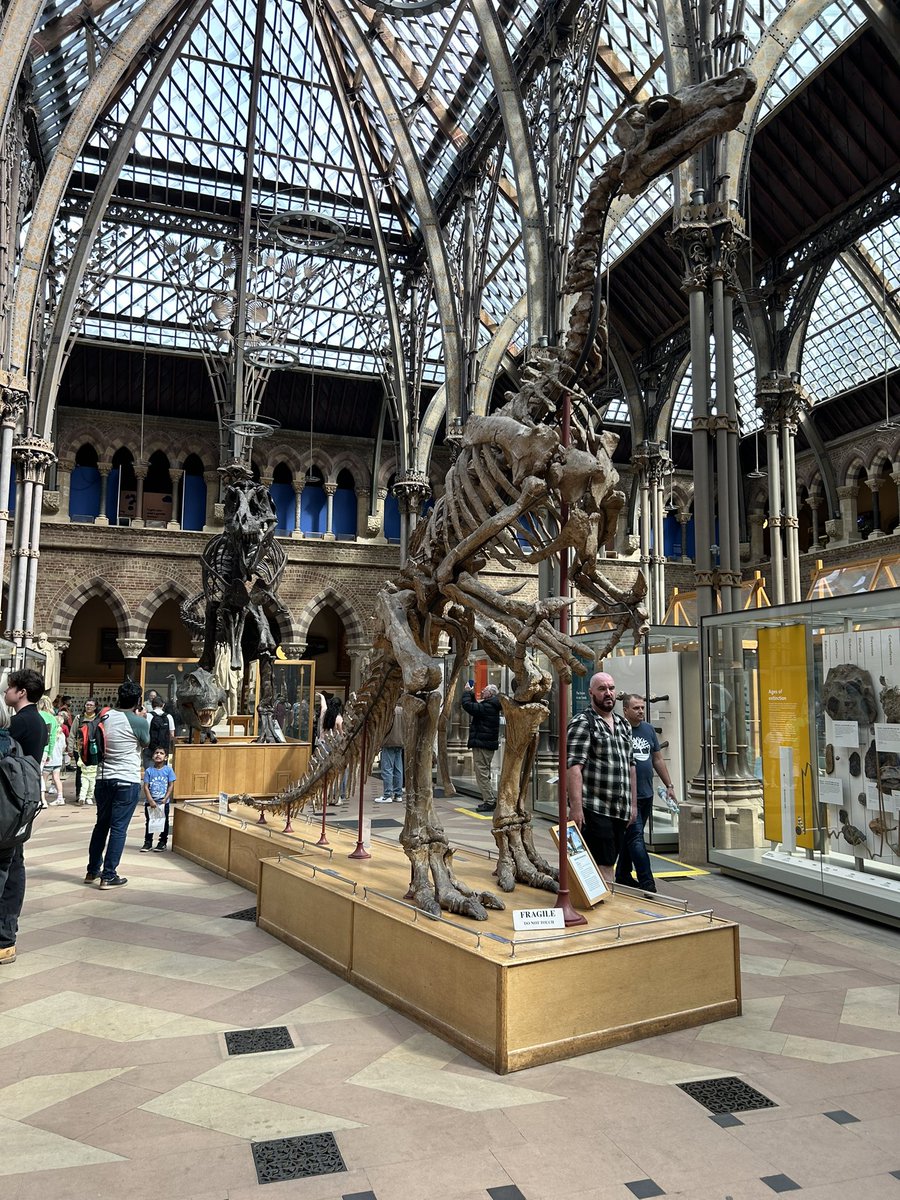 GeologyReph's tweet photo. I love this place… @morethanadodo https://t.co/CP9OcP5oY8