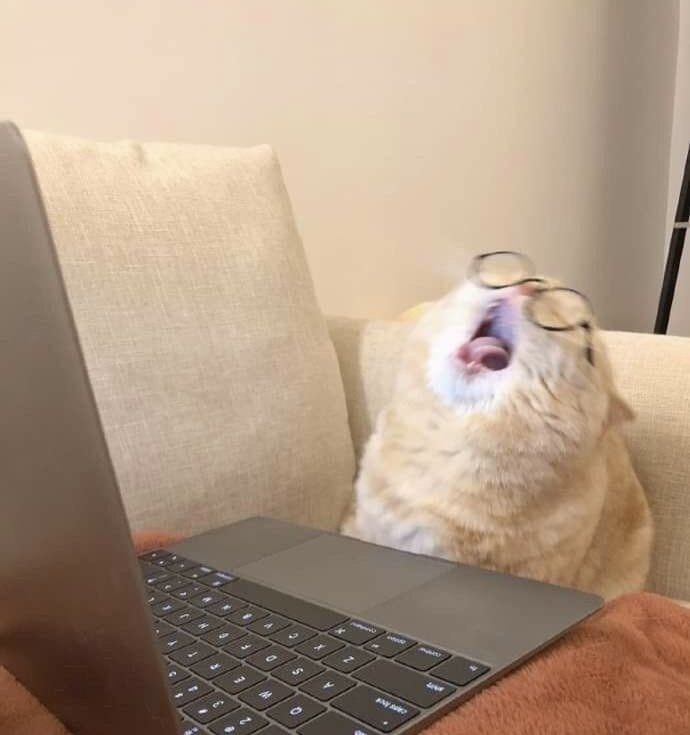 Лэся tweet media