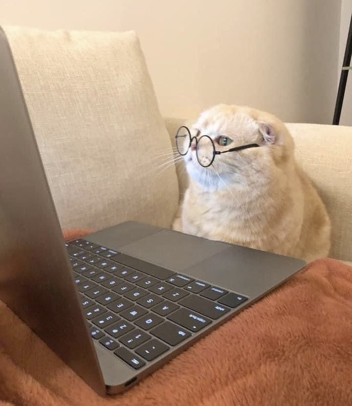 Лэся tweet media