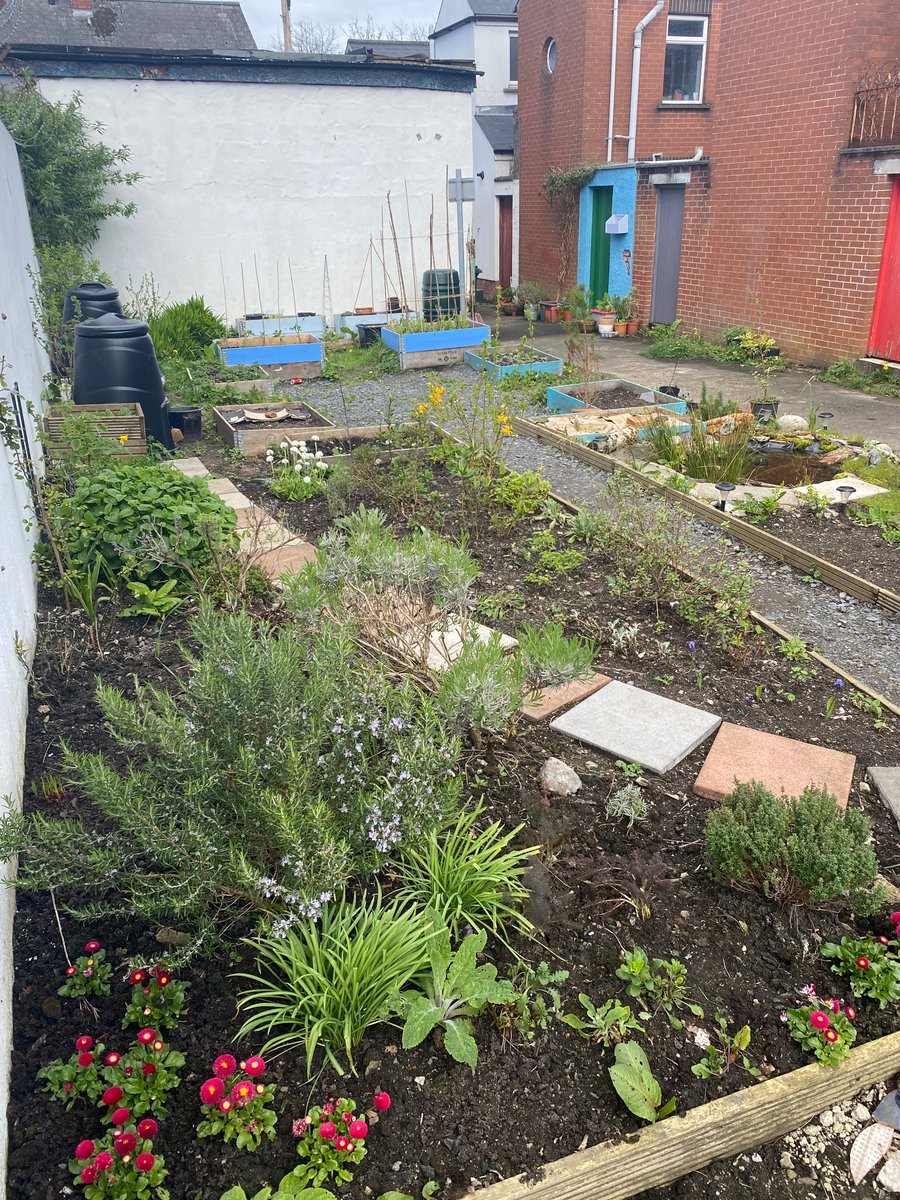 Pure chuffed visiting Raby St secret garden today. The amazing people who spend their time working on this have made what was a scrap heap at the back of houses, look now amazing and full of life. Even estate agents are referencing it as a plus to the area.