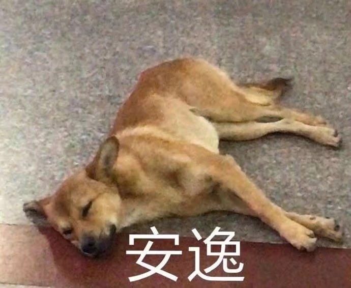 ACOOLMAN8's tweet photo. 工作一年，面hw被红队喷菜，有点破防，警醒自己，技术还要持续提高 https://t.co/bMow0hI3g4