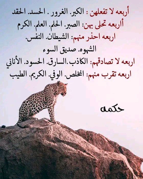 الفهد (@fhdbnbdybdy1) on Twitter photo 2024-04-13 13:57:59