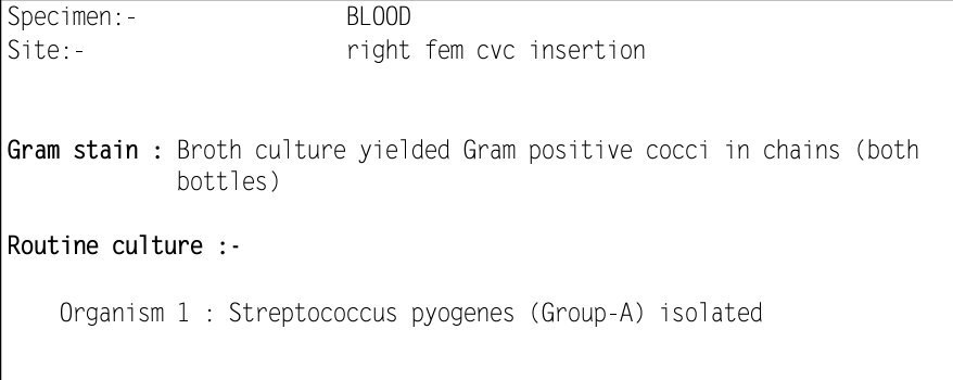 A previously healthy young lady was admitted for fever and neck pain The next day she's dead💀 Here's the blood culture result⬇️ An ancient foe which remains susceptible to penicillin But still a beast nonetheless🥺