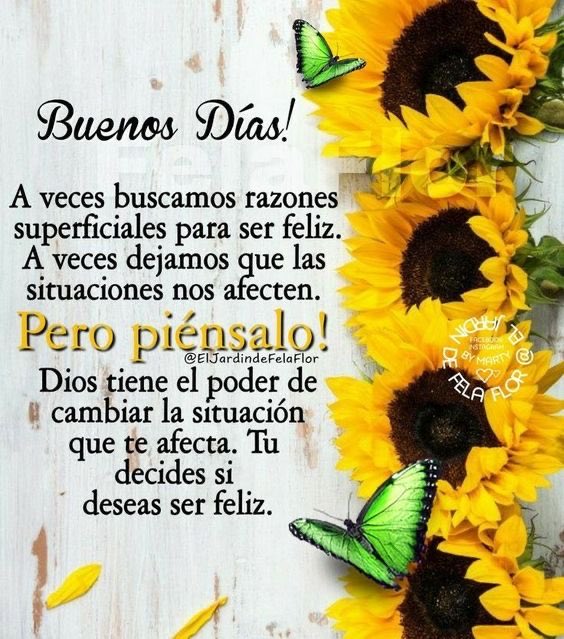 Andrea_flot's tweet photo. Buenos días ☀️🌞😁 https://t.co/b3rpMMa7gb
