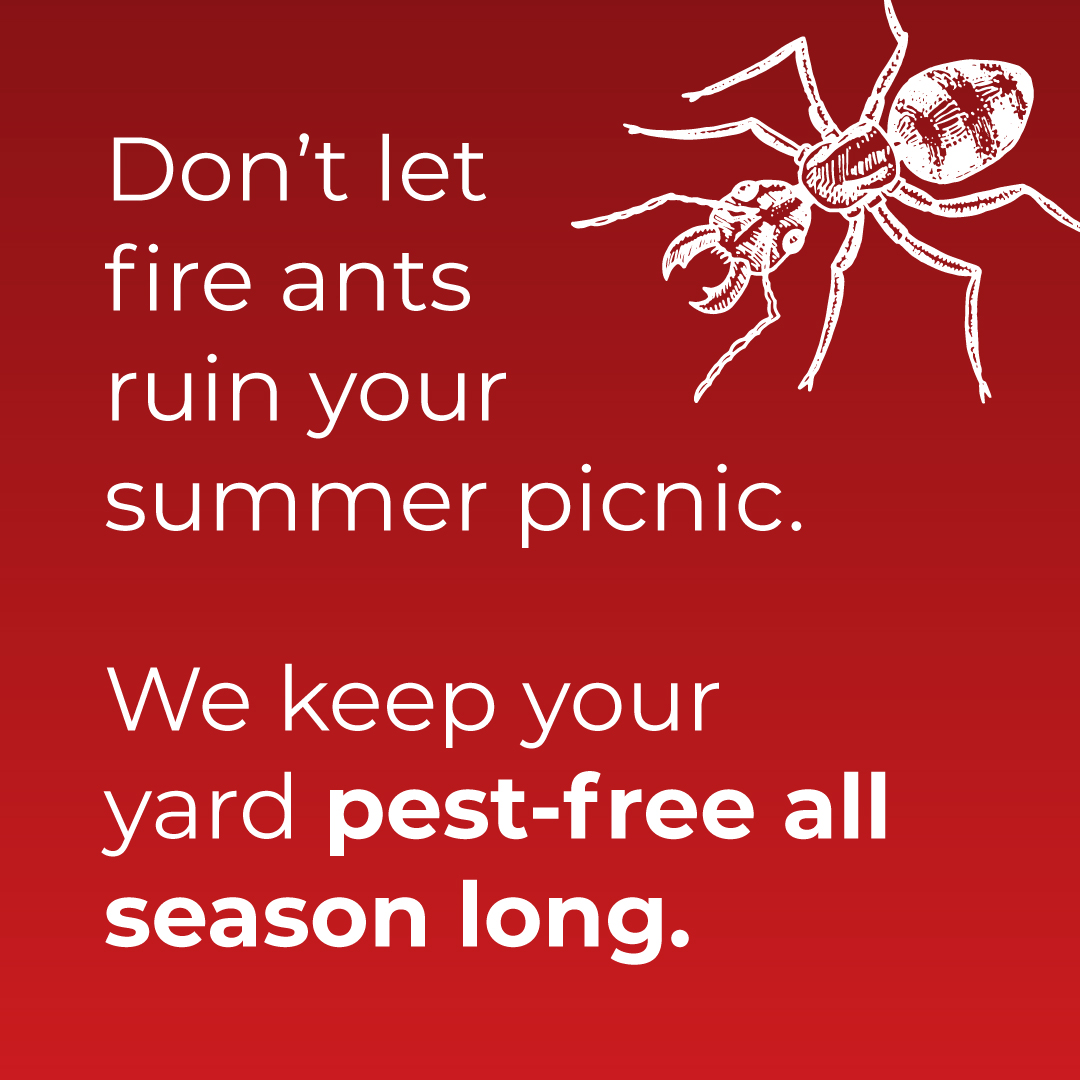 BugHousePest's tweet photo. Get your yard treated now so you can enjoy it when the summer comes! ☀️ Learn more about our pest control plans: https://t.co/lJAWGqekeh

#BugHousePestControl #FireAnts #PestControl #Bugs #Pests #HomeInspection #Georgia #BugTips #CountryLife #Spring #SouthernLiving https://t.co/rCQKQaisBG