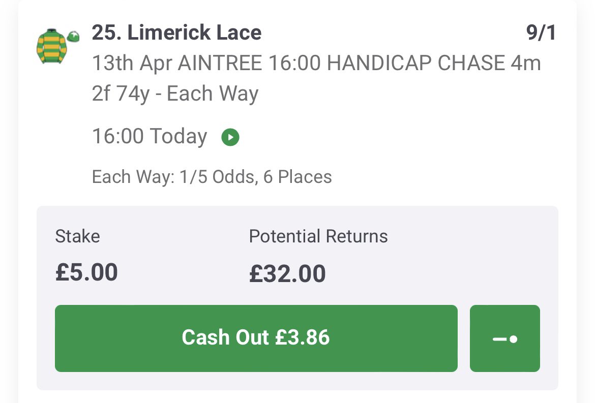 BadgerQueen99 tweet media