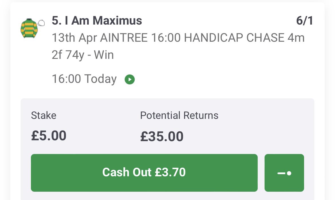 BadgerQueen99 tweet media