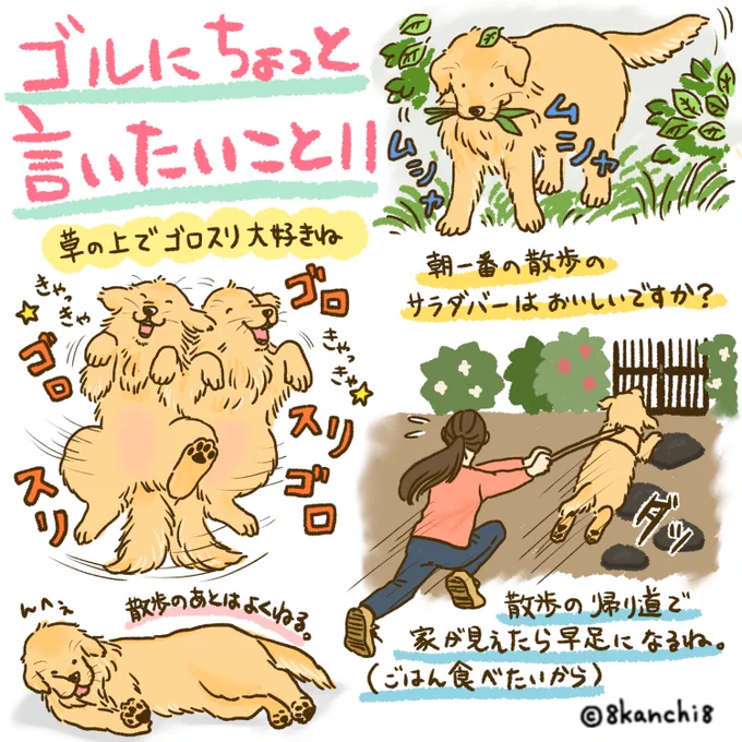 ゴルにちょっと言いたいこと11🍃
#ゴールデンレトリバー
#犬のイラスト
#大型犬 