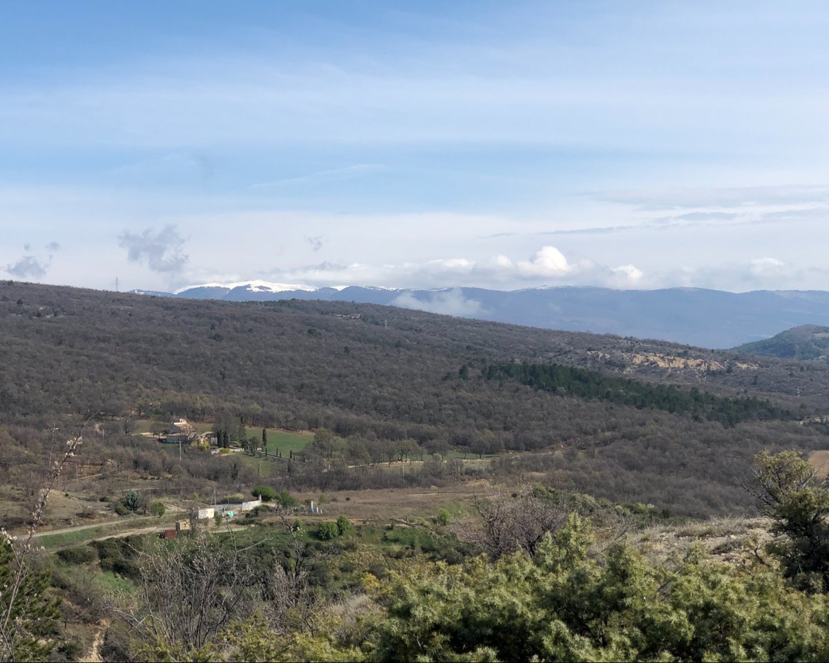 For over a century, we've collected the essence of Lure mountain's medicinal plants to craft exquisite liqueurs and aperitifs. Our traditions have evolved with the times, bringing spirit lovers a taste of Provençal heritage that's now enjoyed in 78 countries.