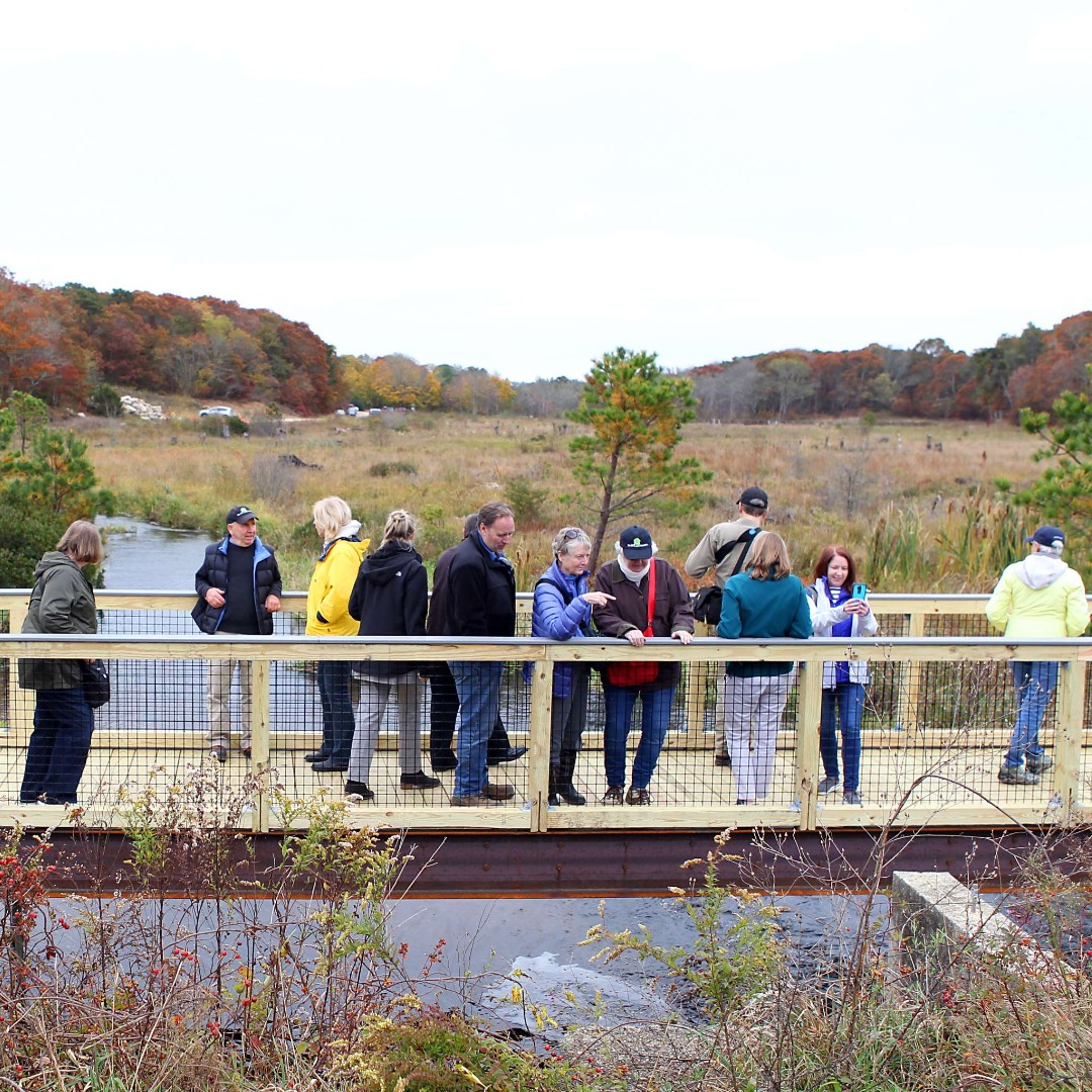 Many of DER’s #EcologicalRestoration projects include a recreational component such as boardwalks, trails, & other accessible opportunities for the public to enjoy. 🌱💧Get outdoors this #EarthMonth. Find a restored area near you ➡️ ow.ly/RWfK50R9FEA #RestorationInAction