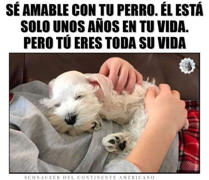 GRamirezF_D12's tweet photo. Buenos días Feliz sábado ✨💖 https://t.co/ML1WgH4Z1Y