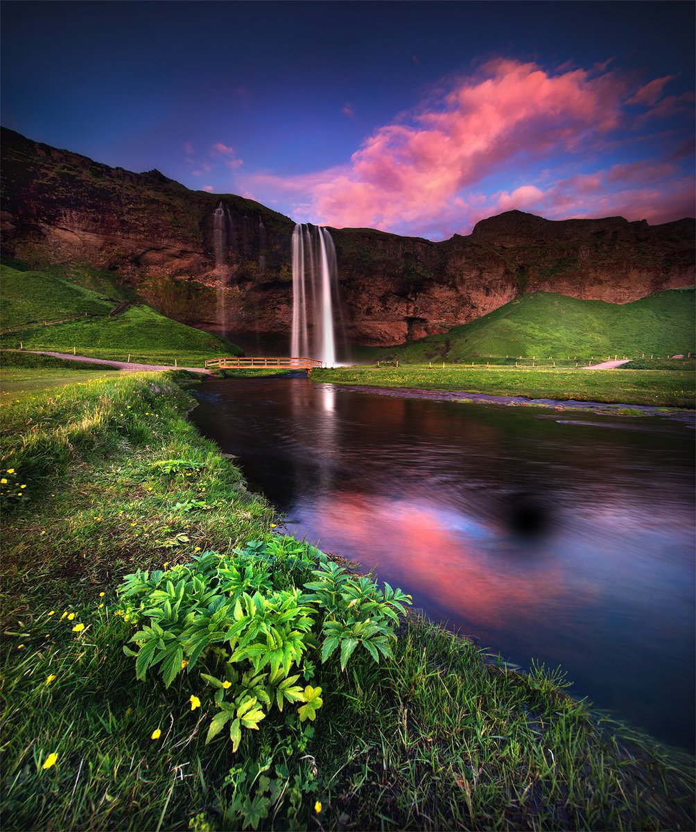 GM from Iceland, photographed during the midnight sun. ❤️