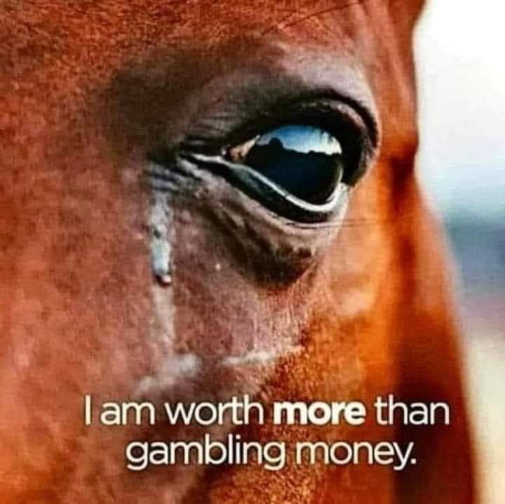 The Grand National is a National Disgrace‼ Horrible, cruel 'sport' 😡 #YouBetTheyDie #GrandNational2024