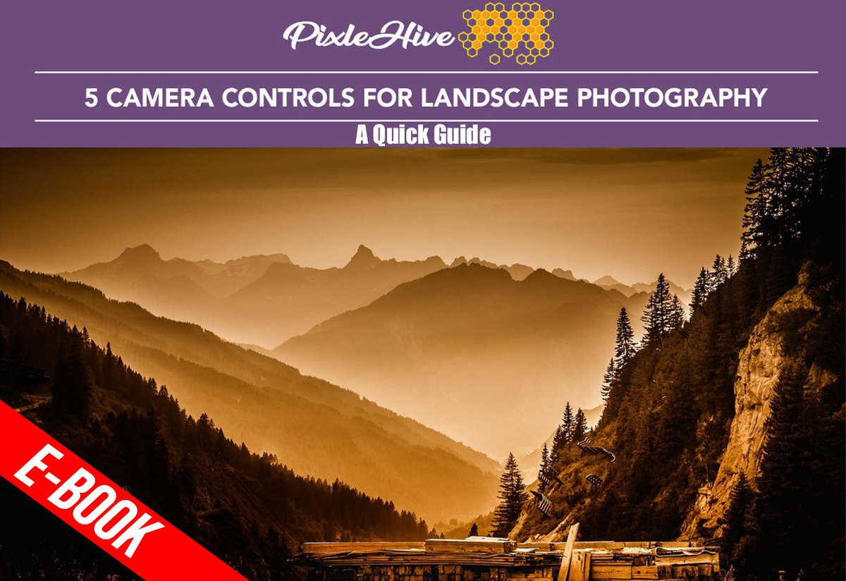 PixleHive tweet media