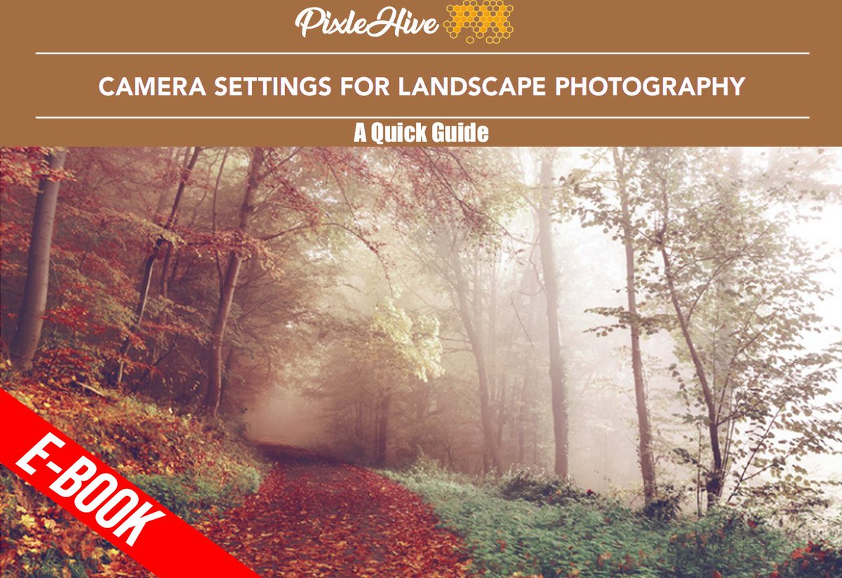 PixleHive tweet media