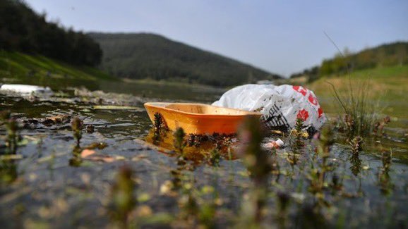 Bursa'da tarım arazilerinin su ihtiyacının karşılandığı Demirtaş Barajı, bayramda piknikçilerin 'İstilasına' uğradı. Piknik yapmaya gelenler çöplerini toplamak yerine doğaya atıp gitti. Çöp yığınına dönen baraj gölü, canlı yaşamını da olumsuz etkilemeye başladı.