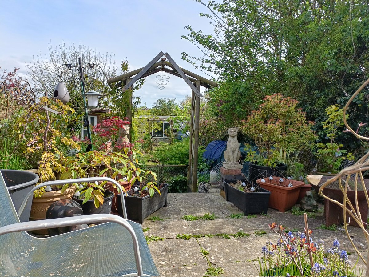 Doing sketchbook work in the sun with a garden bursting into life